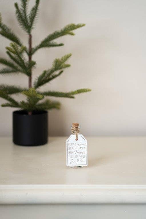 Glass Bottle Cardinal Decor